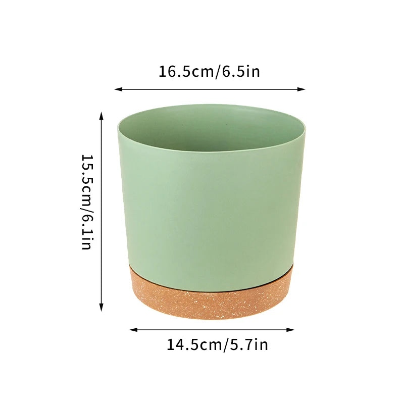Plant Pot Miru World
