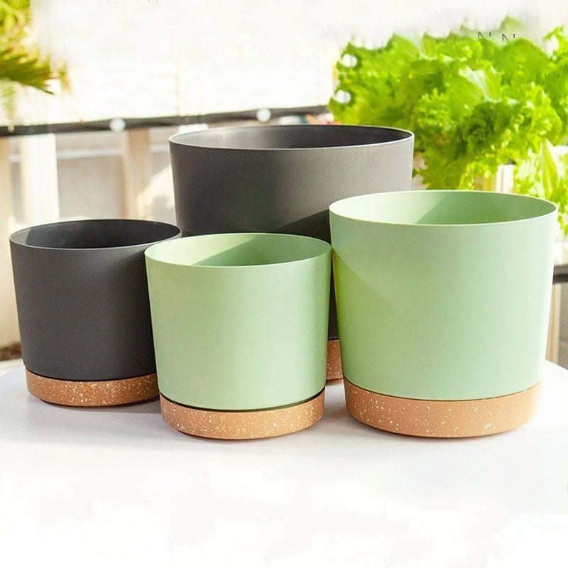Plant Pot Miru World