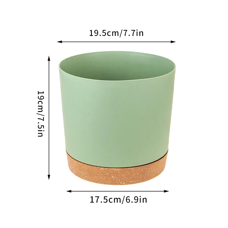 Plant Pot Miru World