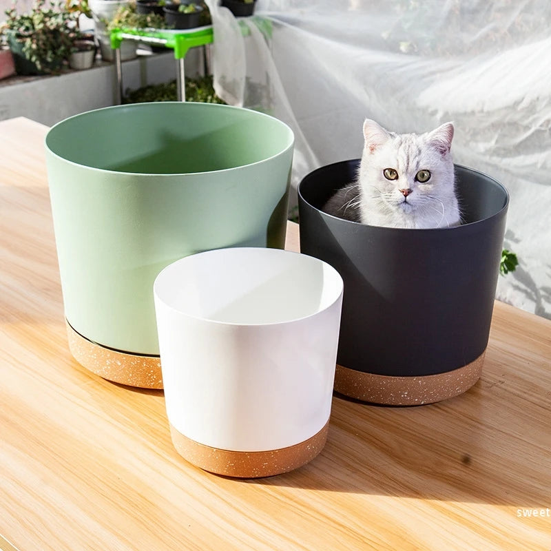 Plant Pot Miru World