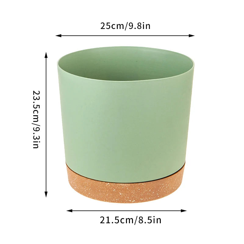 Plant Pot Miru World