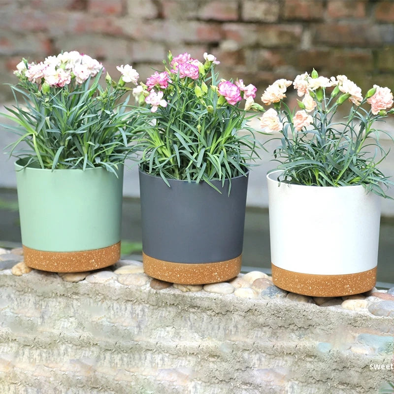 Plant Pot Miru World