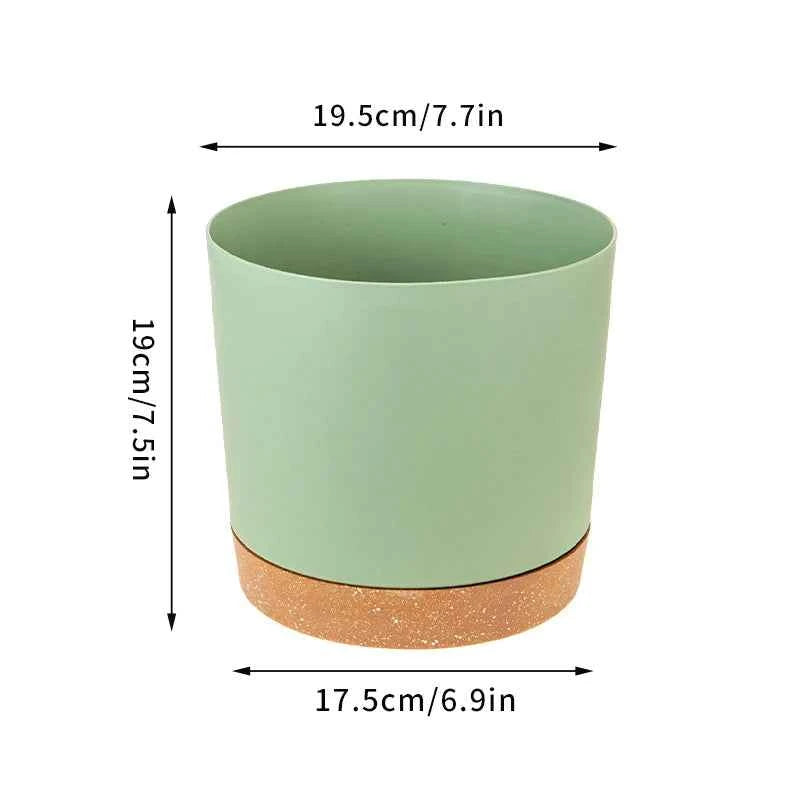 Plant Pot Miru World