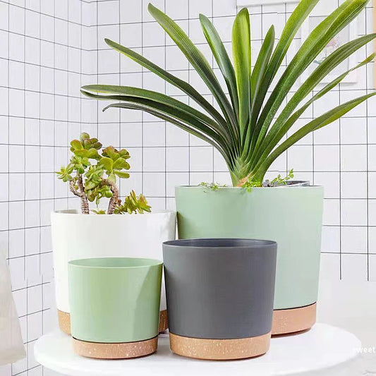 Plant Pot Miru World