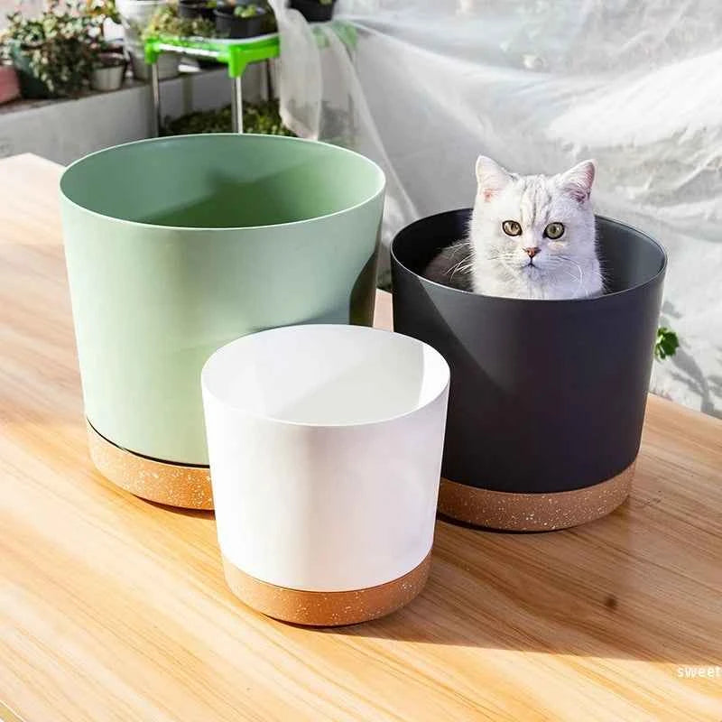 Plant Pot Miru World